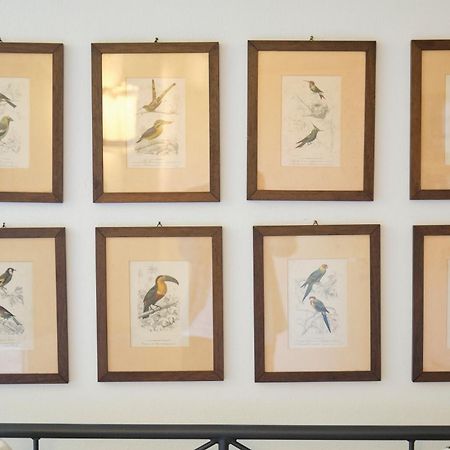 Il Nespolo Di Campopisano Apartment Genoa Luaran gambar