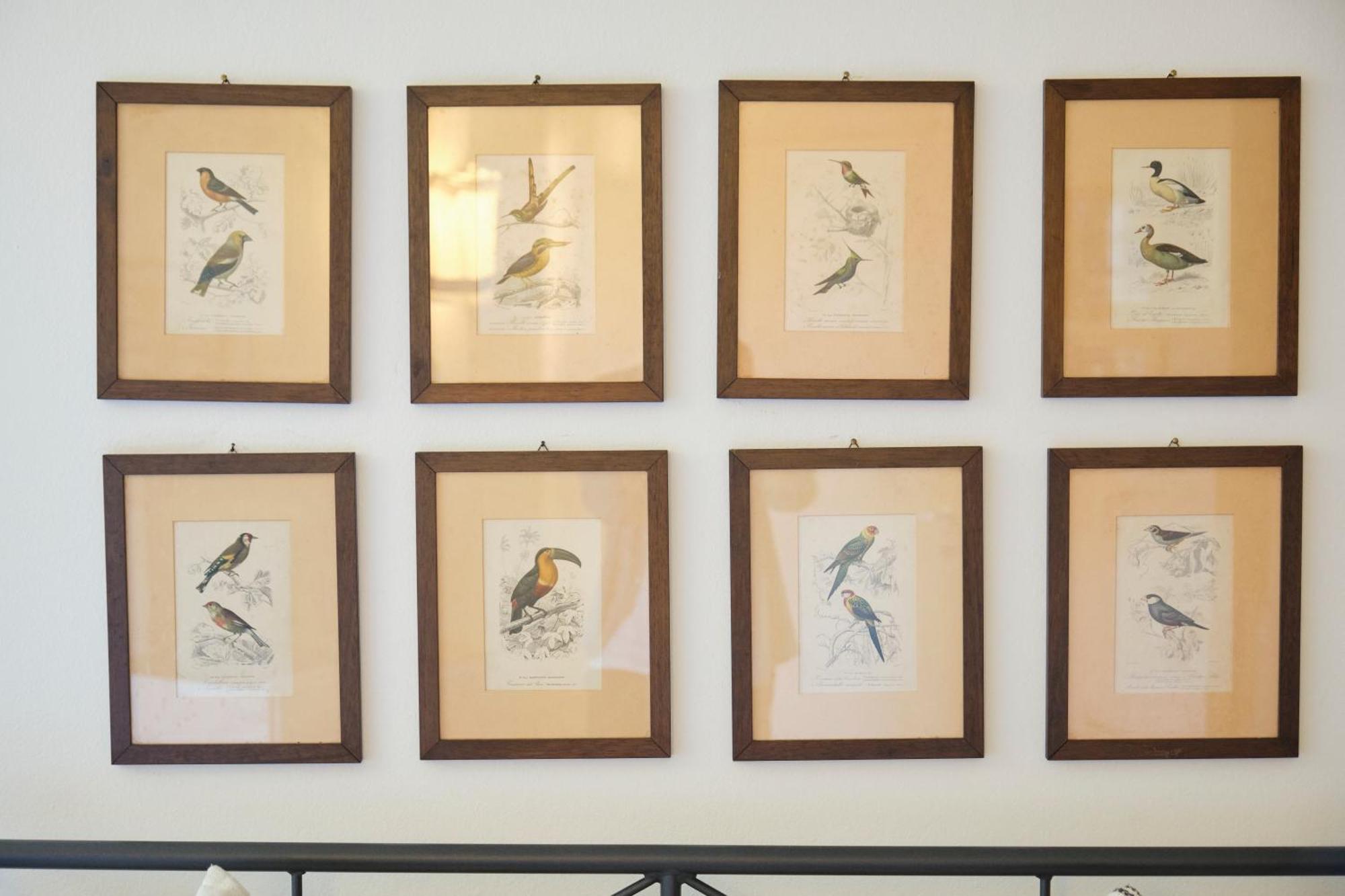 Il Nespolo Di Campopisano Apartment Genoa Luaran gambar